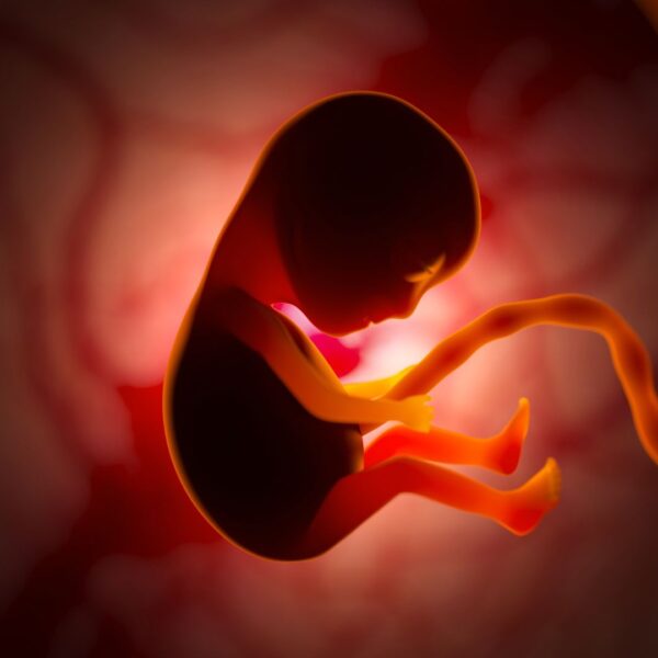 Chamada para ação! Padre Paulo Ricardo convoca você agora: temos poucos dias para barrar mais um nome pró-aborto no STF